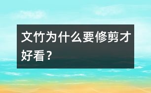 文竹為什么要修剪才好看？