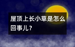 屋頂上長小草是怎么回事兒？