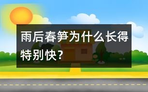 雨后春筍為什么長得特別快？