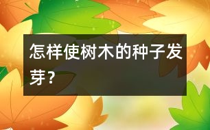 怎樣使樹木的種子發(fā)芽？