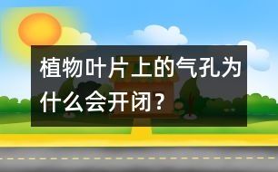 植物葉片上的氣孔為什么會(huì)開閉？