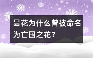 曇花為什么曾被命名為“亡國之花”？