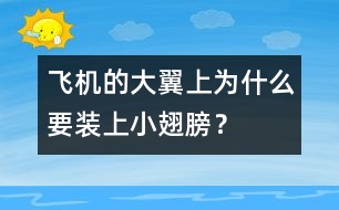 飛機(jī)的大翼上為什么要裝上小翅膀？