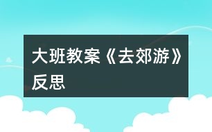 大班教案《去郊游》反思