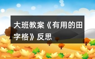 大班教案《有用的田字格》反思