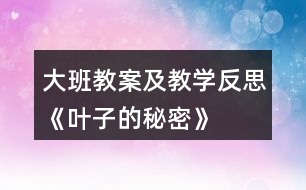 大班教案及教學反思《葉子的秘密》