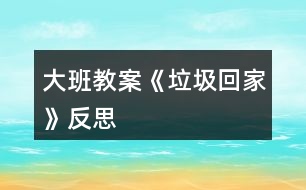 大班教案《“垃圾”回家》反思