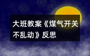 大班教案《煤氣開關(guān)不亂動》反思