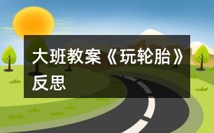 大班教案《玩輪胎》反思