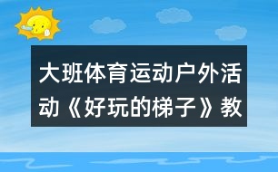 大班體育運(yùn)動戶外活動《好玩的梯子》教案反思