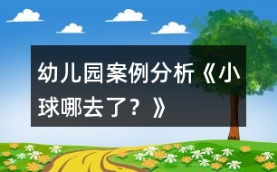 幼兒園案例分析《小球哪去了？》