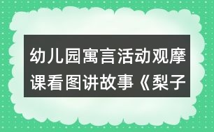 幼兒園寓言活動觀摩課看圖講故事《梨子小提琴》教案設(shè)計(jì)與自我評析