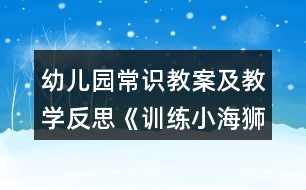 幼兒園常識教案及教學(xué)反思《訓(xùn)練小海獅》