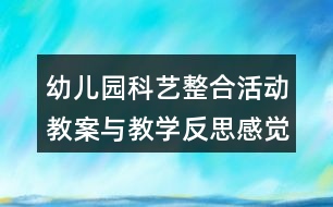 幼兒園科藝整合活動(dòng)教案與教學(xué)反思感覺味道