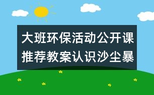 大班環(huán)?；顒庸_課推薦教案：認識沙塵暴