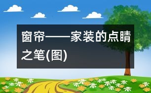 窗簾――家裝的點睛之筆(圖)