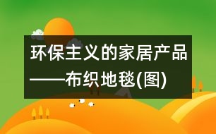 環(huán)保主義的家居產(chǎn)品――布織地毯(圖)