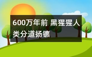 600萬年前 黑猩猩人類分道揚鑣