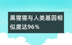 黑猩猩與人類(lèi)基因相似度達(dá)96%