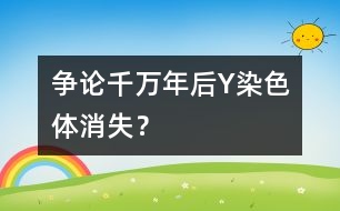 爭論：千萬年后Y染色體消失？