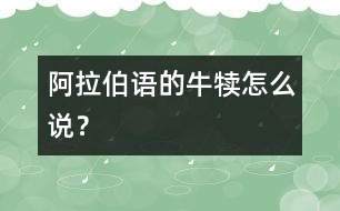 阿拉伯語的牛犢怎么說？