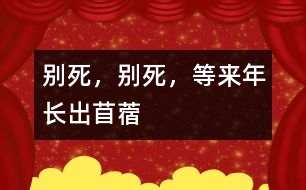 別死，別死，等來年長出苜蓿