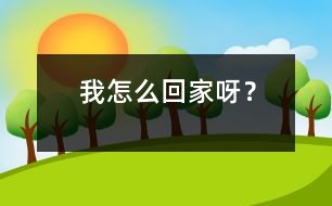 我怎么回家呀？