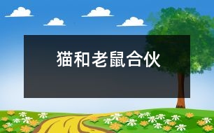 貓和老鼠合伙