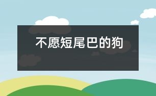 不愿短尾巴的狗