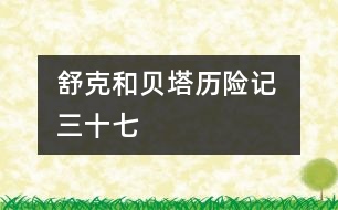 舒克和貝塔歷險記 三十七