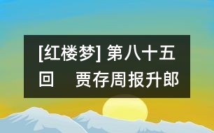 [紅樓夢] 第八十五回    賈存周報升郎中任  薛文起復(fù)惹放流刑