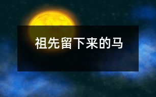 祖先留下來的馬