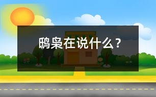 鴟梟在說什么？