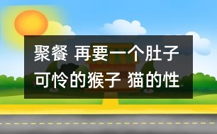 聚餐 再要一個(gè)肚子 可憐的猴子 貓的性別